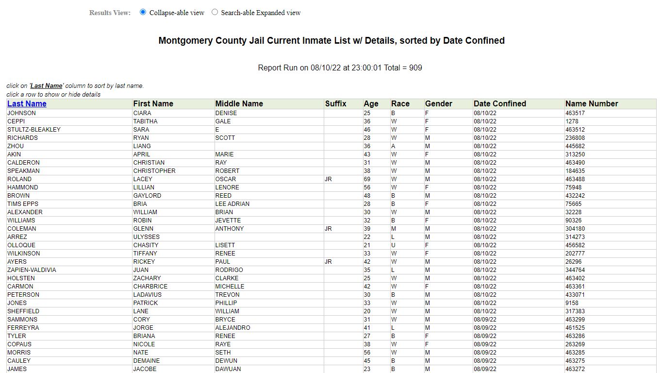 Jail Roster