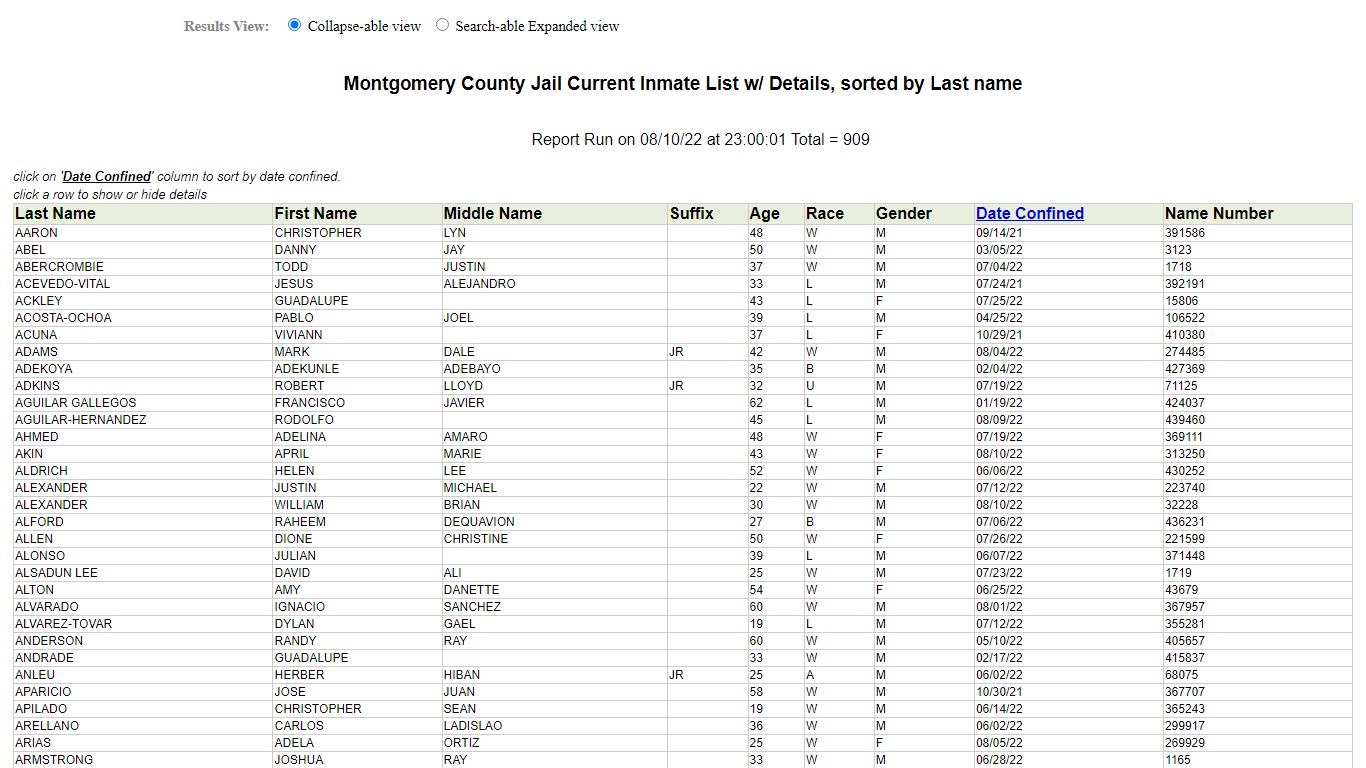 Jail Roster